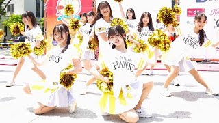 ハニーズダンスアカデミー　アジアンマーケットフェスタ2024【4K60P】