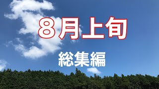 令和２年８月上旬カブクワ採集総集編