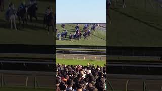 競馬外人「G2」アルゼンチン共和国杯！言ったどり #shorts #競馬 #tokyo