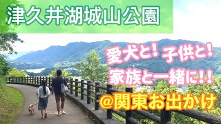 【神奈川県遊び場】愛犬も子供も家族みんなで楽しめる『津久井湖城山公園』🍃🌲🌳🍁【柴犬つむ】[shibainu-tsumu]