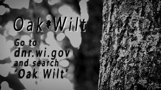 Oak Wilt Trailer