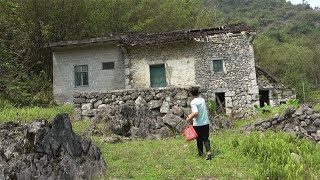 深山里发现一无人村，遍地水果无人摘，百亩田地变荒废，人去哪了