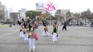 はっぴいず[天の邪鬼～百虎～]20141130_四日市よさこい祭り〜やったろ舞〜（市民公園）[4K]