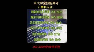 技能高考计算机专业250-300分大专院校