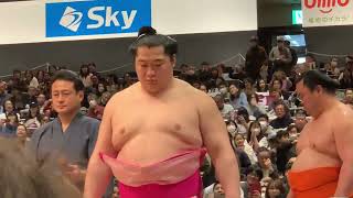 幕内土俵入り 大相撲トーナメント (Feb 11, 2024)