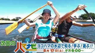 ハマナビ　次回予告（8月17日放送）