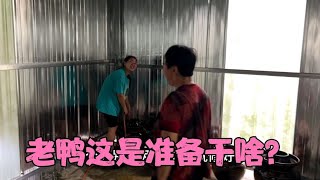 老鸭又建了一间新房，老妈立马来参观，婆媳俩这下可以大展身手了