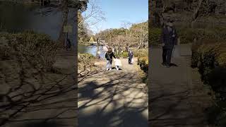 Machida Yakushi- ike Park, Japan #shorts  #viral #short #youtube #youtubeshorts #youtuber #reels