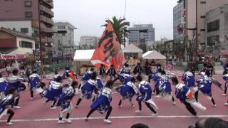 岐阜聖徳学園大学　柳（安濃津よさこい2015）一日目・フェニックス会場