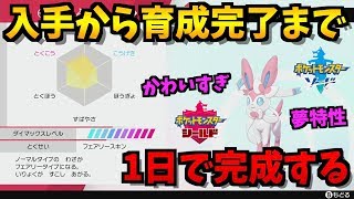 【入手から】特殊進化アイドル！この動画を見れば育成済み夢ニンフィアができます！【ポケモン剣盾/ポケモンソードシールド】