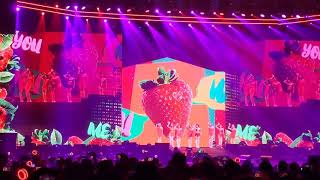 190717 [FANCAM] TWICE - Strawberry (TWICELIGHTS in LA)