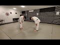 ouchi gari to tai otoshi counter