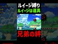 【閲覧注意】マリオとルイージの絆でも取れないスターコインがヤバすぎたｗｗ　 shorts short マリオ ルイージ スーパーマリオ スーパーマリオブラザーズ ゲーム実況 adhd