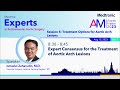 36 MAM2023 Expert Consensus for the Treatment of Aortic Arch Lesions