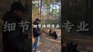 当我的狗狗遇上别人家的狗狗怎么办？剑拔弩张？相安无事？丨随心一人养三狗