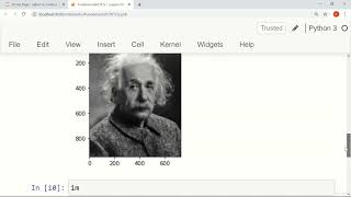 015 Reading, Manipulating and Saving Grayscale Image using Matplotlib Python
