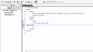 eclipse_cvs.avi