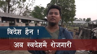 विदेश छाडी नेपालमै बंगुर पालन | Makim Pig Farm | Krishi Pathsala | Episode 8 - Part 2