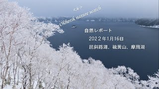 自然レポート2022/1/16　屈斜路湖、硫黄山、摩周湖