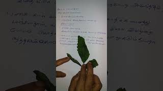 @pv_maths நொச்சி இலை பயன்கள் vitex trifolia uses