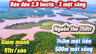 Bán đảo đẹp như công viên.  S: 29.000m vuông, 500m mặt sông, 140m mặt tiền. Chỉ 91tr/sào