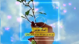 دانلود آهنگ بلوچی بور چمو دلگ چم کربان تی چمان