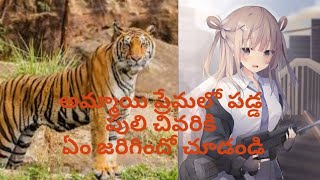 అడవిలో అమ్మాయి ప్రేమలో పడ్డ పులి చివరికి ఏం జరిగిందో చూడండి@voicequiz