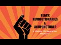 Black Revolutionaries and Acupuncture? A History of Integrative Medicine