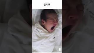 조리원에서 젤리캠으로 본 생후 일주일된 우리 아가 모습🥹 #shorts  #baby #babygirl #신생아 #조리원 #젤리캠 #율이의일상