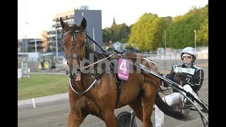 VINCENT HORSE \u0026 ROBERT BERGH VINCONO A DANNERO TRAVET - 01/05/2020