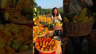 Enjoy beautiful tasty and delicious mango fruits 😋🍓🍎🥭🍊🍅 #shorts #nature #fruit #garden