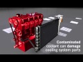 Animation On How Vehicle Cooling Systems Work