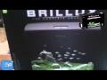 How to set up an maintain Aquael Brillux aquarium