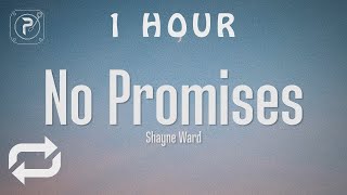 [1 HOUR 🕐 ] Shayne Ward - No Promises (Lyrics)