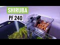 Best Hang - On - Back Filter | Shiruba Pf 240 | 6 Months Used Review!! #shiruba #hob #filter