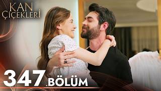 Kan Çiçekleri 347. Bölüm