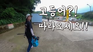 [다리tv] 고등어! 숭어! 전어?! 만능 채비들고 요기로 오시면 됩니다!!!