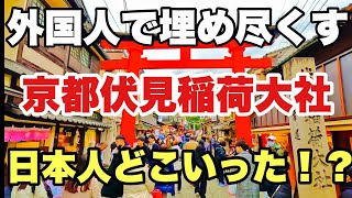 【4K】2024年12月13日（金）外国人で埋め尽くす京都伏見稲荷大社。日本人どこいった！？京都伏见稻荷大社里挤满了外国人。Fushimi Inari Taisha Shrine, Kyoto