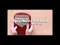 mary had a little lamb 19th century nursery rhymes kalimba tutorial kalimba shortsvideo