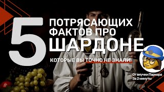 [5 УДИВИТЕЛЬНЫХ ФАКТОВ ПРО ШАРДОНЕ], которые вы точно не знали!