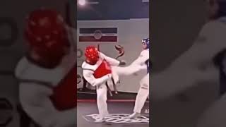 taekwondo fight status
