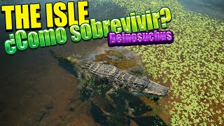 ¿Como sobrevivir con el (DEINOSUCHUS)? - THE ISLE EVRIMA | Gameplay español