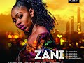 Zani - Keys to The City (No Time)