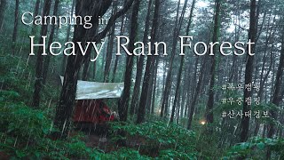 [4K] Solo Camping in Heavy Rain Forest |  Landslide warning due to heavy rain |