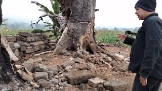 MOJOKERTO GEMPAR !!! PENEMUAN KERIS PUSAKA RAJA SINGASARI DICENGKERAM POHON RAKSASA ?!