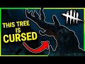 5 Dead By Daylight FACTS That WILL CREEP YOU OUT!