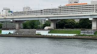 鯉のぼり　白鬚橋親水テラス　☆　 墨田区堤通　隅田川　白鬚橋  　♪　東白鬚公園の近く　♬　　2022年 4月24日 (日)　Carp streamer　Tokyo