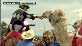 2019 Emerald Downs Camel Race