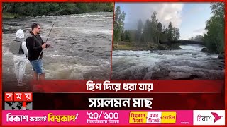 প্রাকৃতিক সৌন্দর্যের লীলাভূমি নরওয়ে | Norway | Otterholt Foss Lake | Salmon Fish | Somoy TV