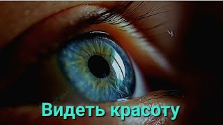 Видеть красоту | Тина Фризен - Жизни #красота#мир#макро#песня#музыка#трек#исполнительница#природа